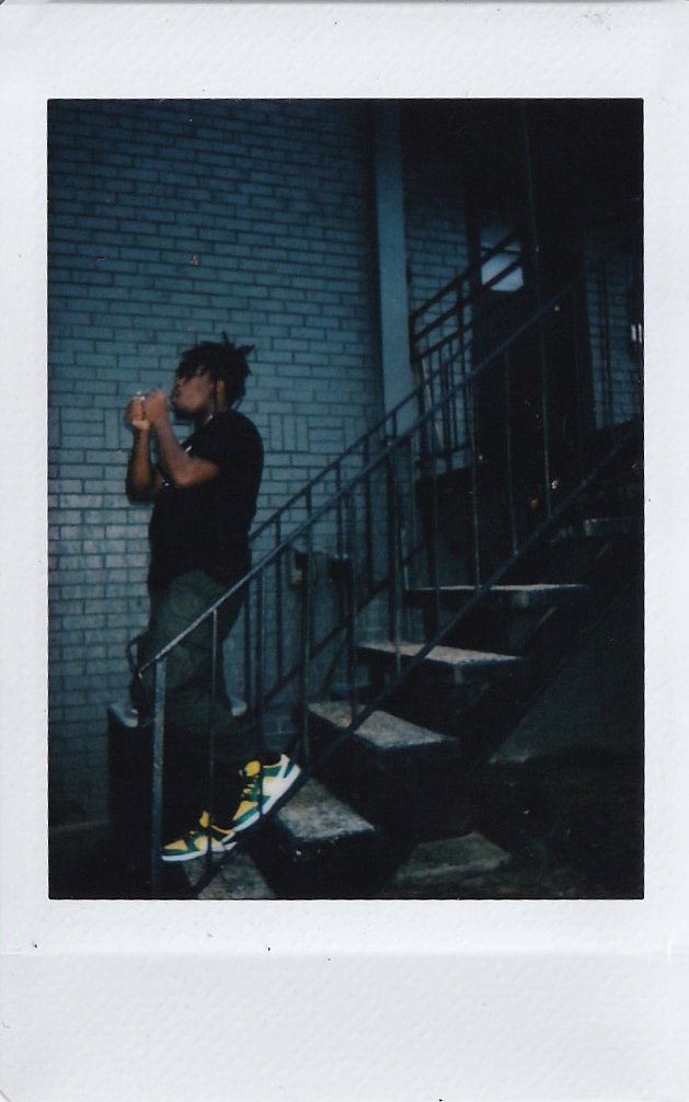 Bloom