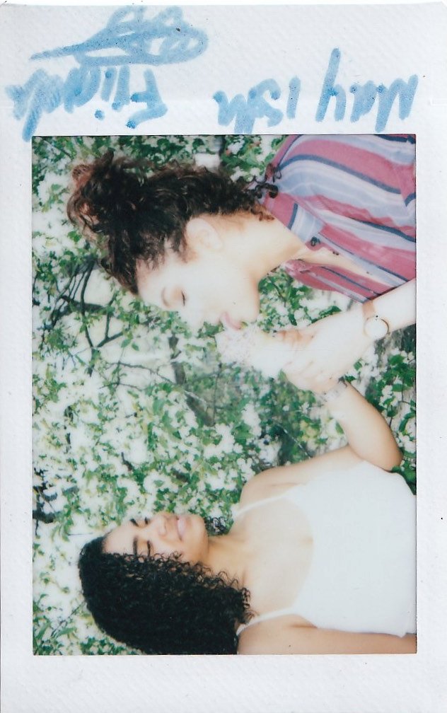 Bloom